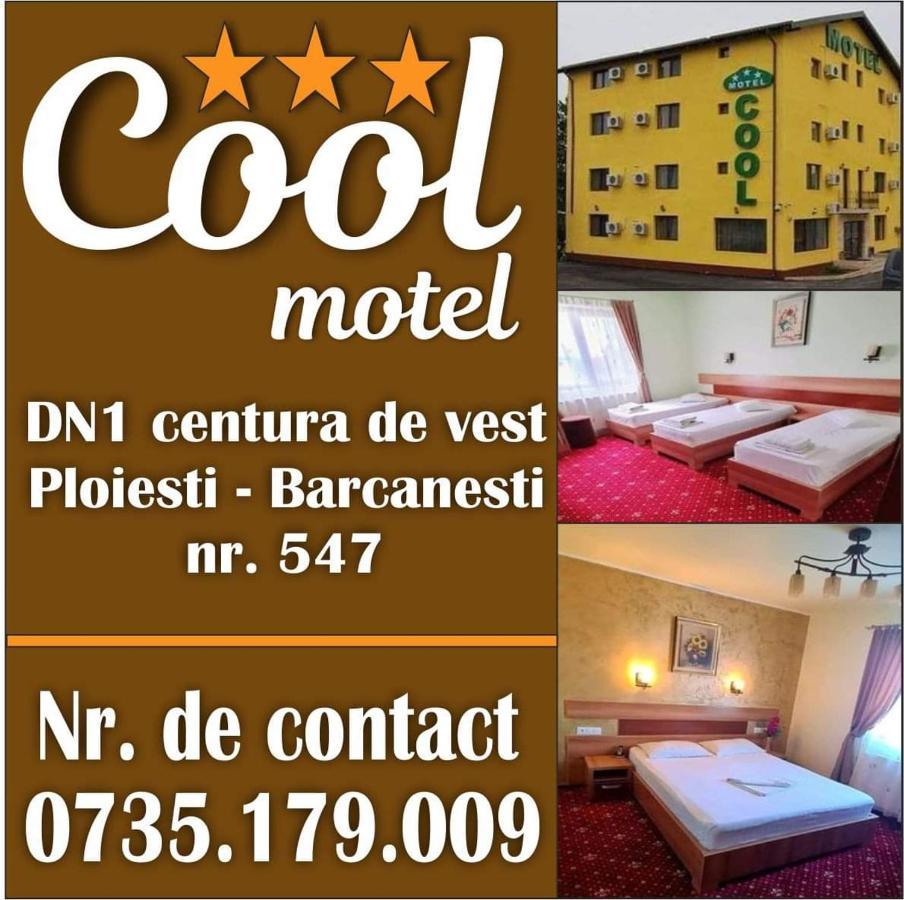Motel Cool Bărcăneşti Dış mekan fotoğraf